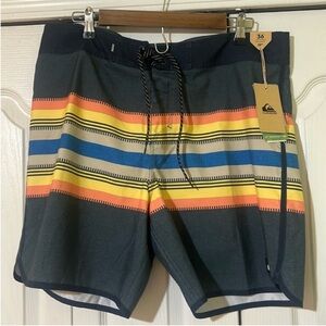 Quiksilver Men's Multicolor Striped Swim Shorts